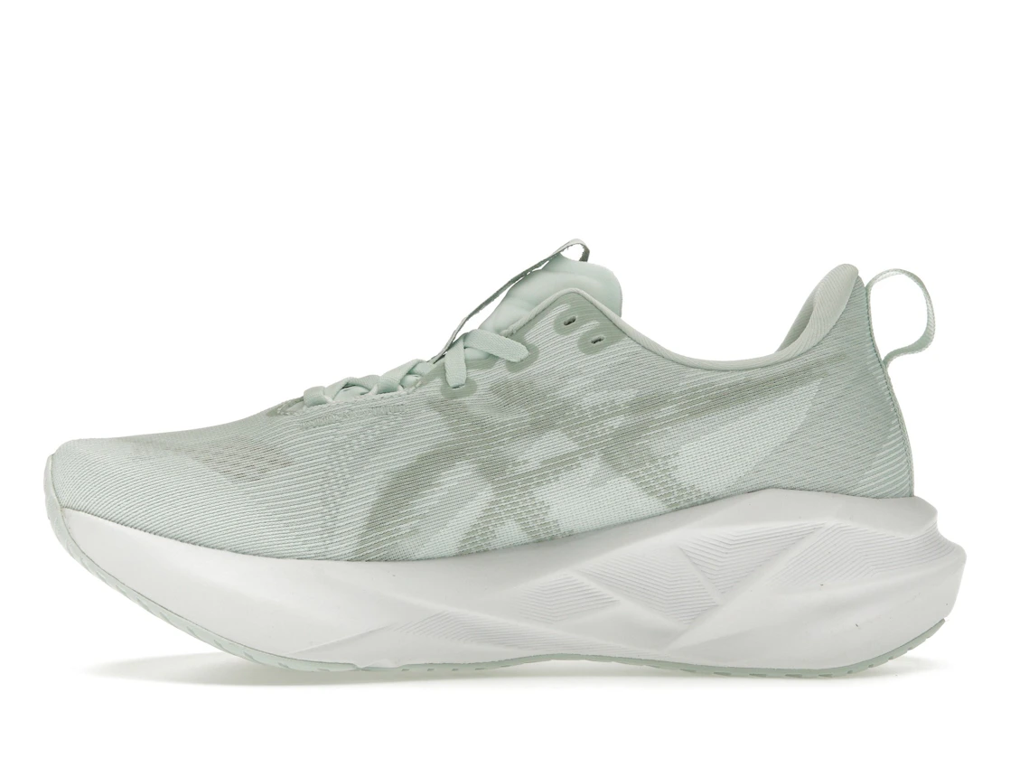 ASICS Novablast 5 Pure Aqua Seal Grey