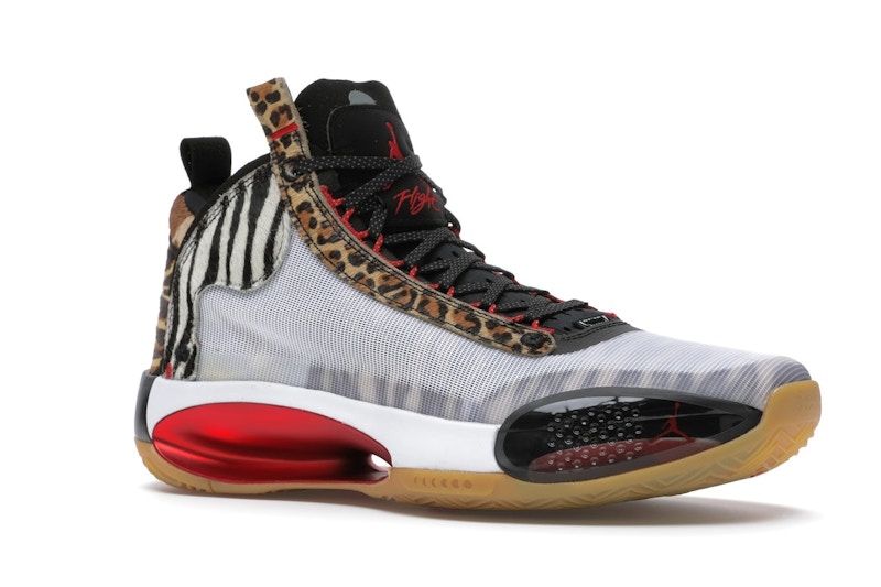 Jordan 34 zoo stockx clearance