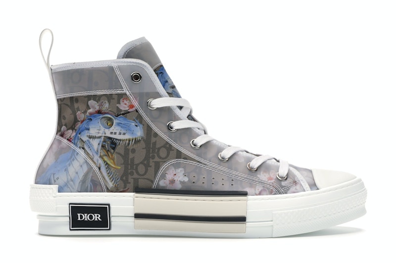 Dior best sale converse dinosaur