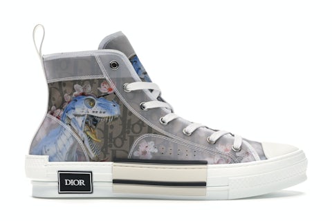 Dior B23 High Canvas Sorayama Dinosaur Brown Men's