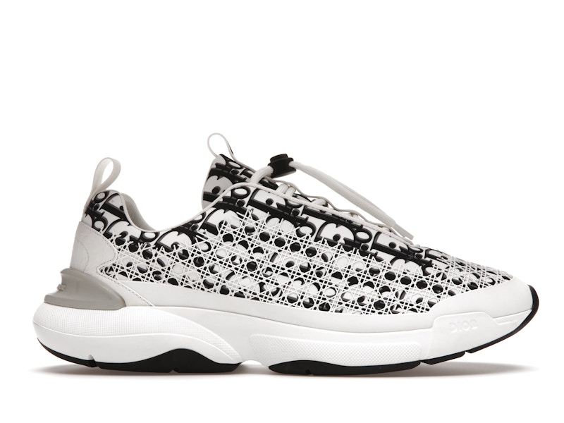 Dior oblique clearance b24 sneaker