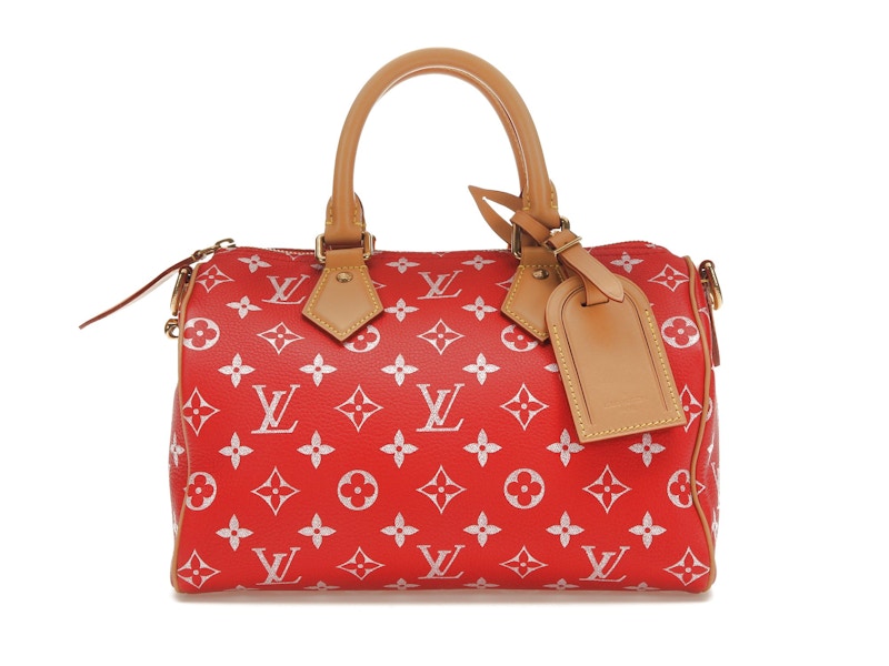 Louis vuitton 2025 red small bag