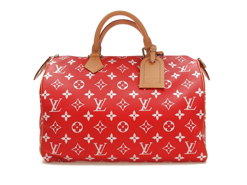 Louis vuitton new arrivals red small bag