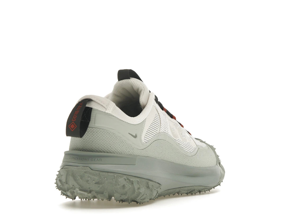 Nike ACG Mountain Fly 2 Low Gore-Tex Phantom Light Silver