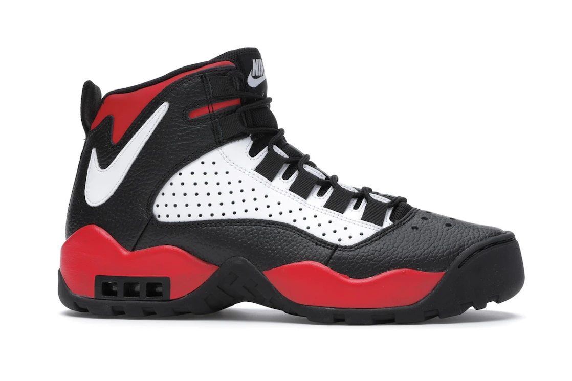 Nike Air Darwin Bulls