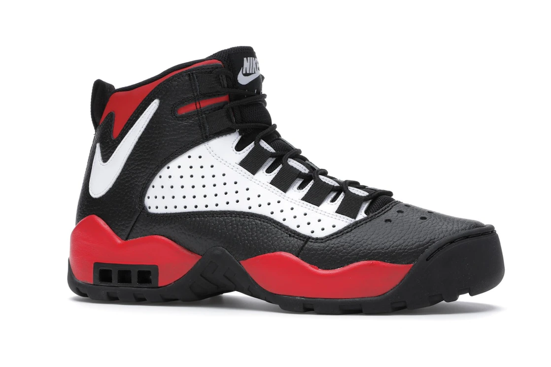 Nike Air Darwin Bulls