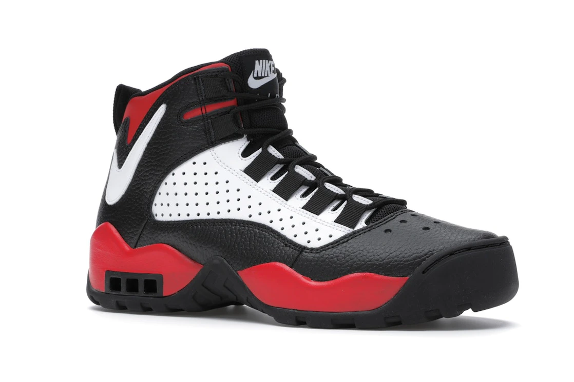 Nike Air Darwin Bulls
