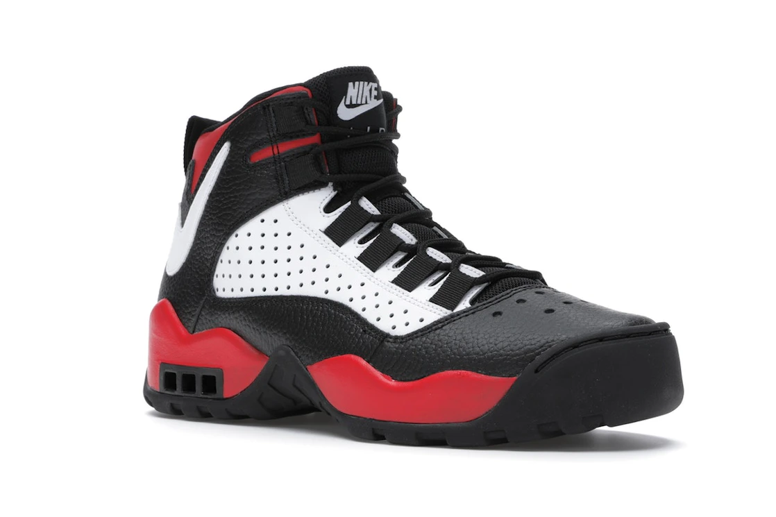 Nike Air Darwin Bulls