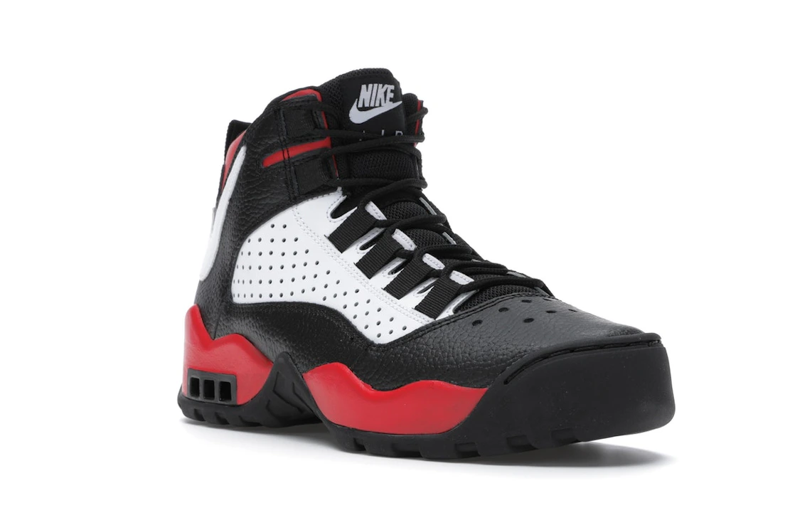 Nike Air Darwin Bulls