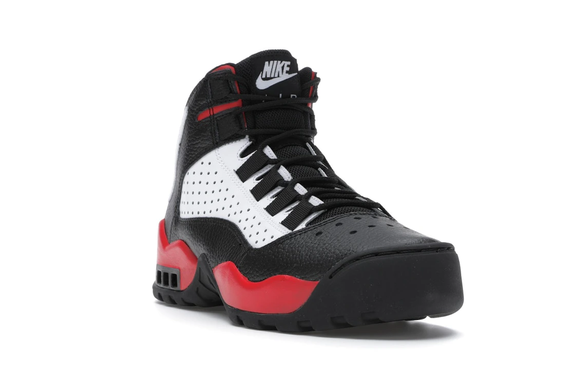 Nike Air Darwin Bulls