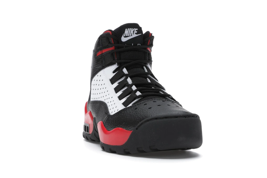 Nike Air Darwin Bulls