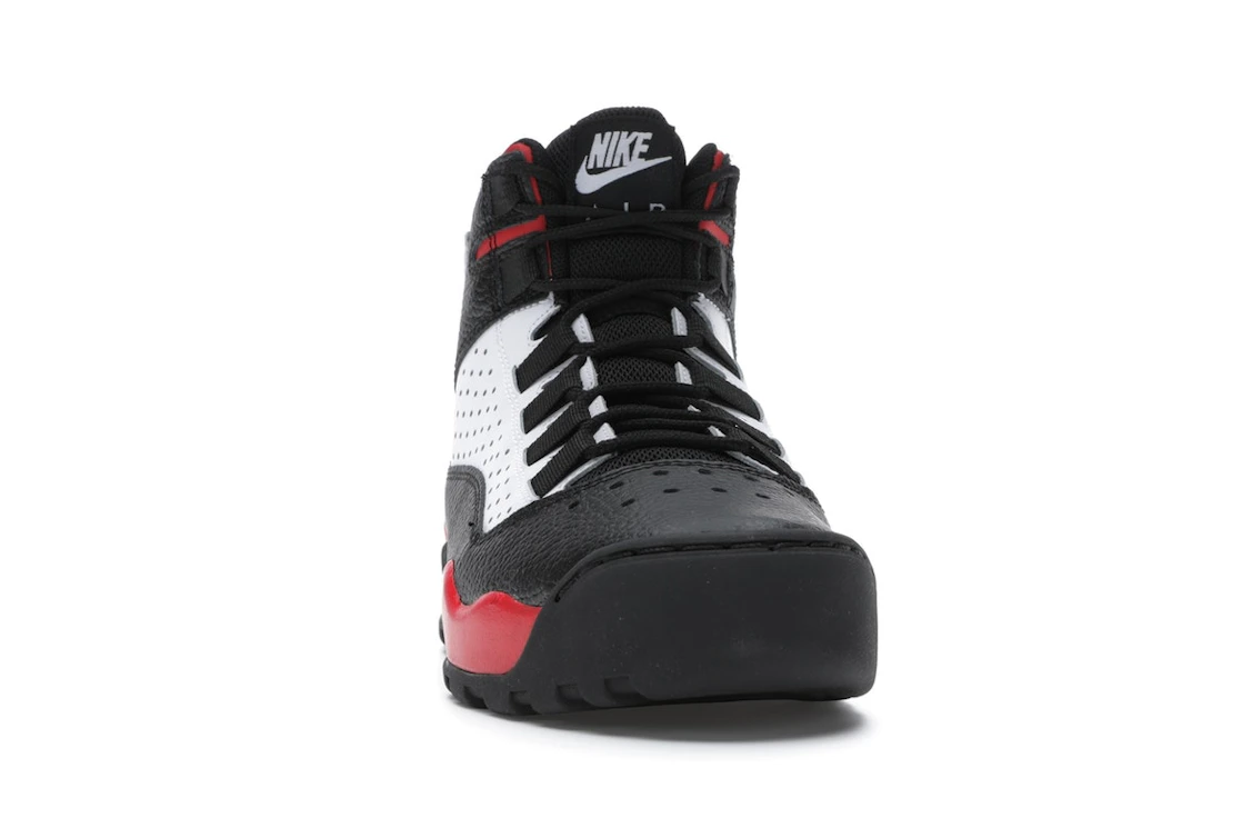 Nike Air Darwin Bulls