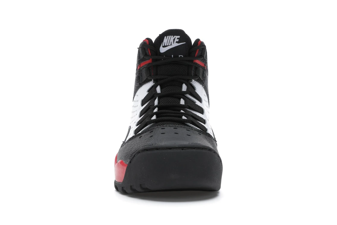 Nike Air Darwin Bulls