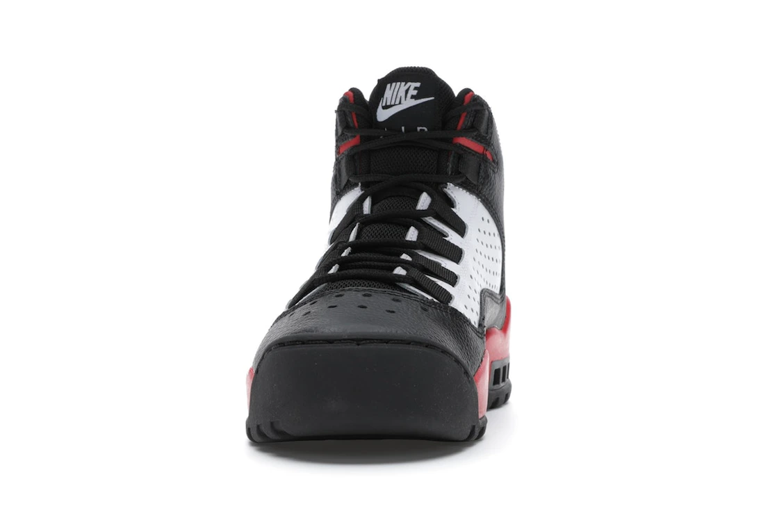 Nike Air Darwin Bulls