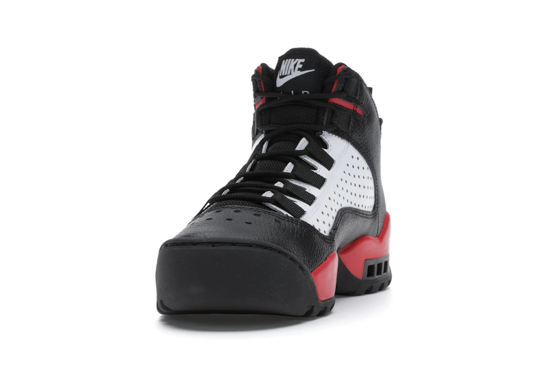 Nike Air Darwin Bulls