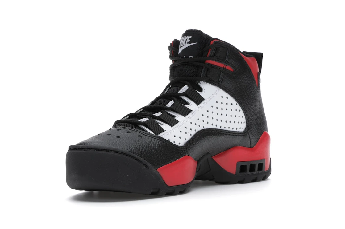 Nike Air Darwin Bulls