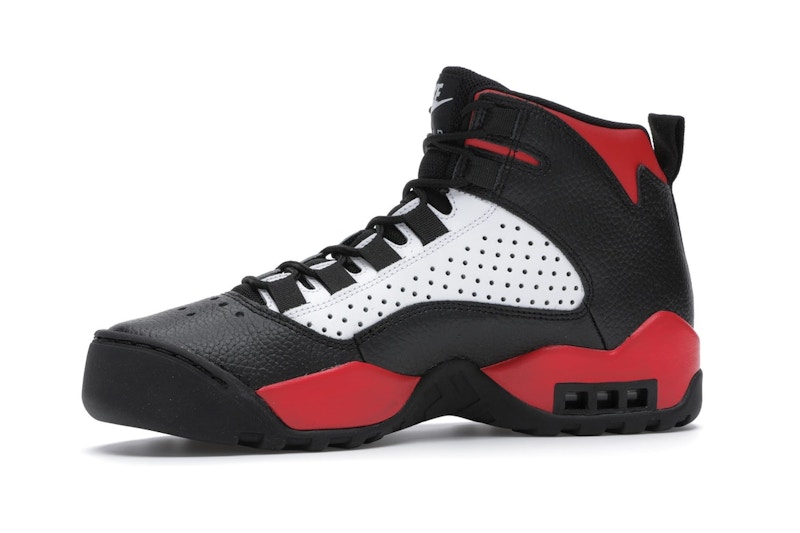 Nike Air Darwin Bulls
