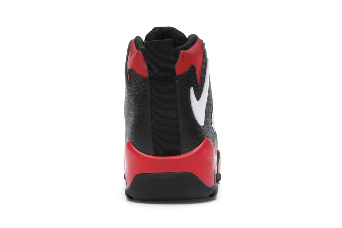 Nike Air Darwin Bulls