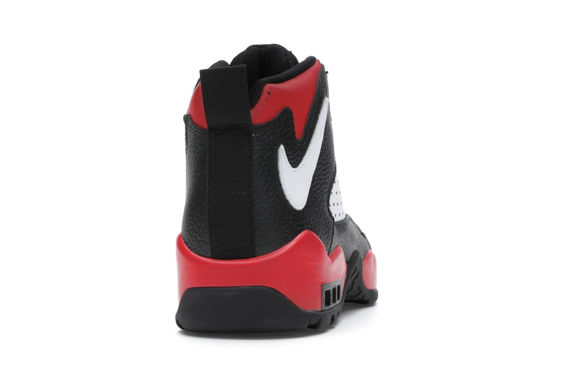 Nike Air Darwin Bulls