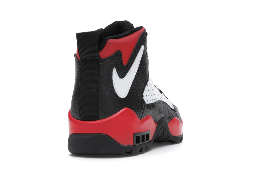 Nike Air Darwin Bulls