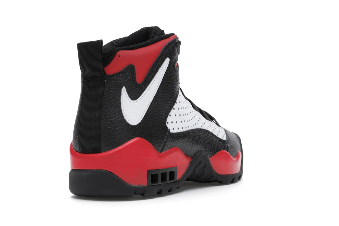 Nike Air Darwin Bulls