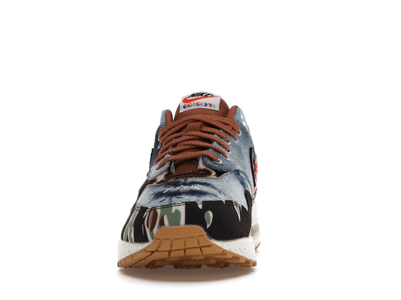 Nike Air Max 1 SP Concepts Heavy