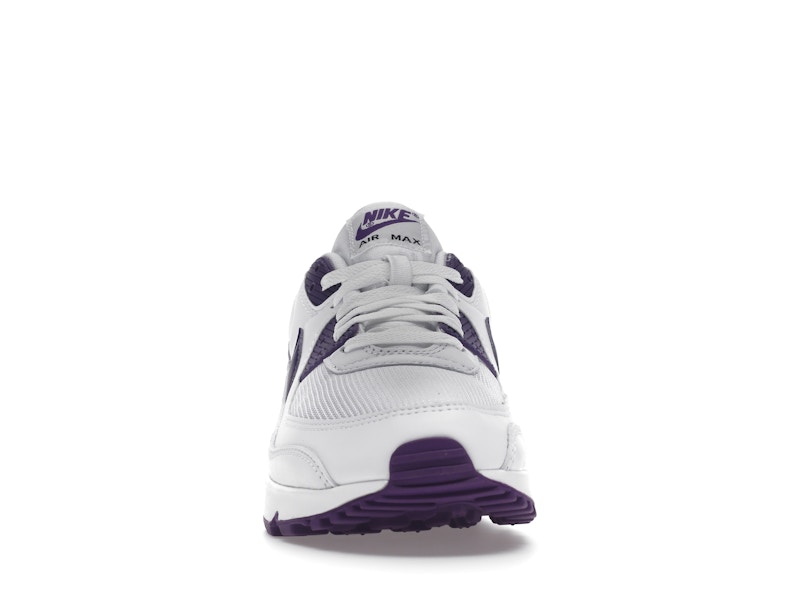 Nike Air Max 90 Color Pack Court Purple