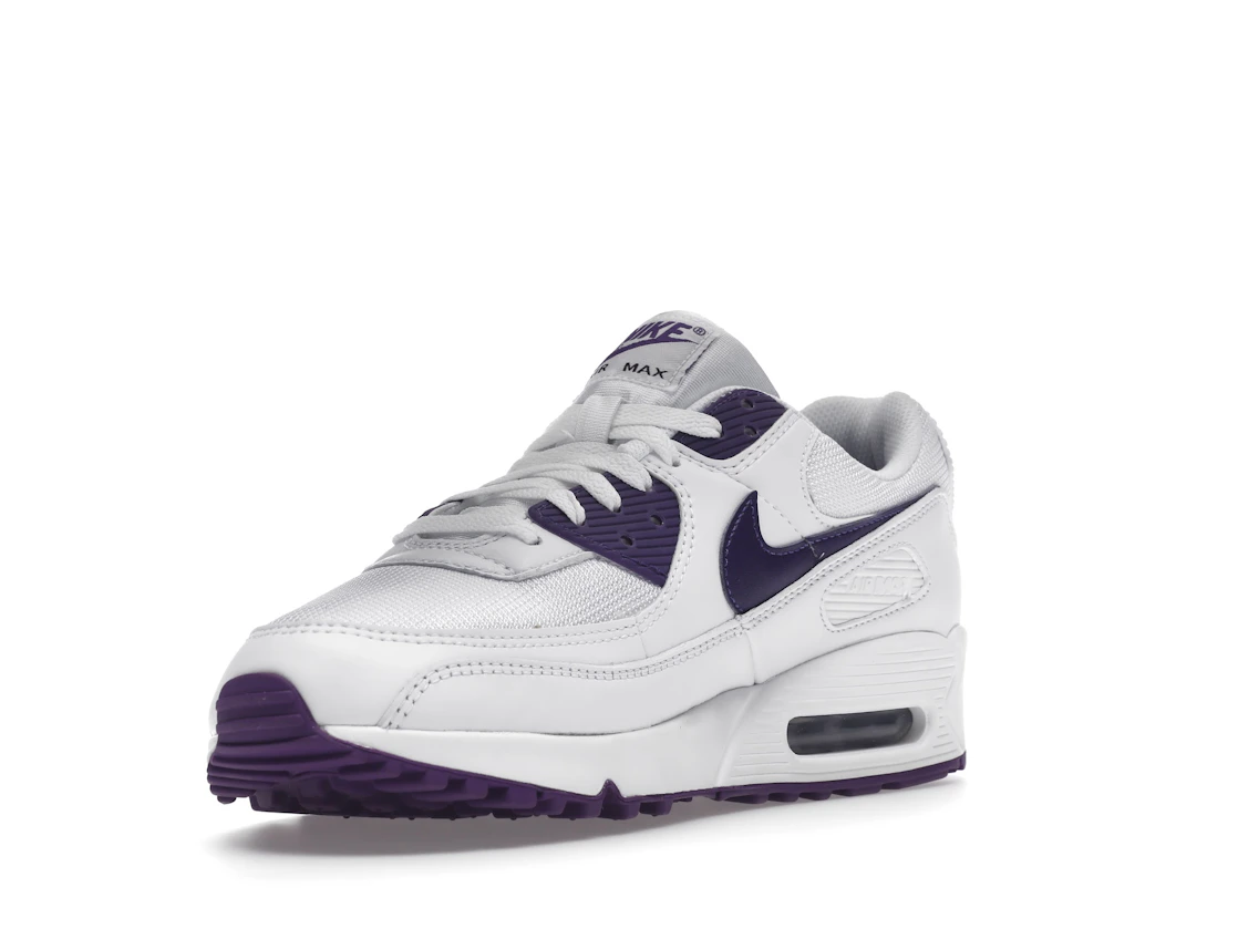 Nike Air Max 90 Color Pack Court Purple