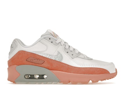 Nike Air Max 90 Leather Rainbow Salmon (para escolares) DM0956