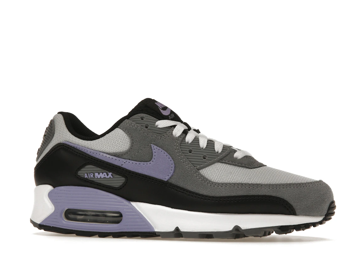 Nike Air Max 90 Photon Dust Light Thistle