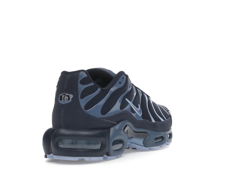 Nike Air Max Plus Obsidian Aluminum