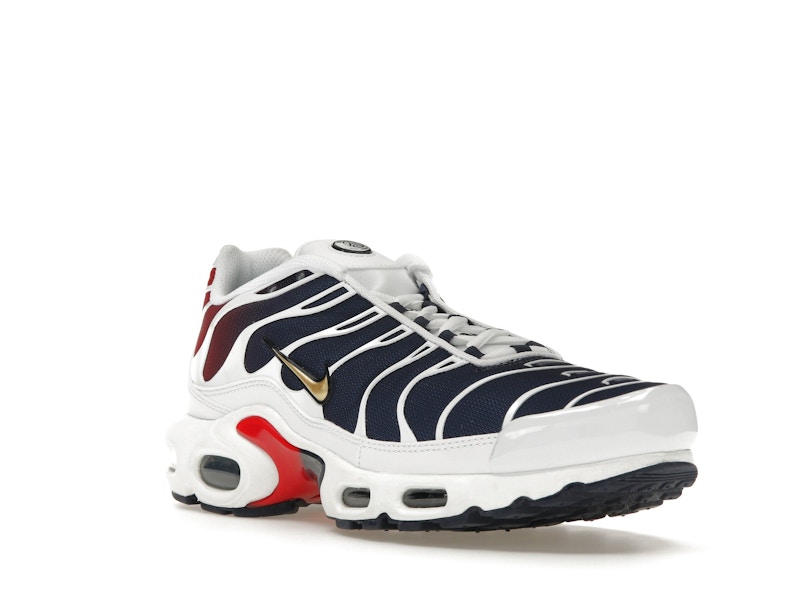Nike Air Max Plus PSG