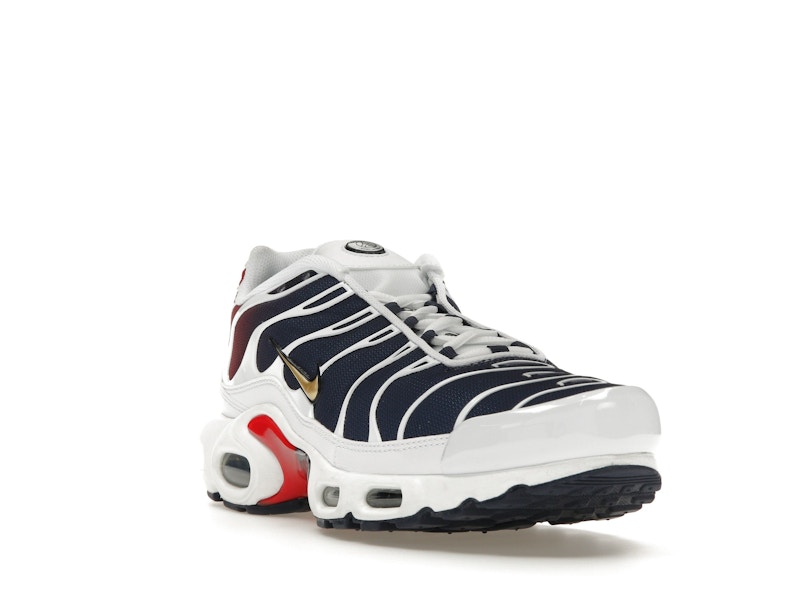 Nike Air Max Plus PSG