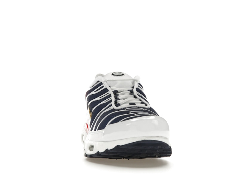 Nike Air Max Plus PSG