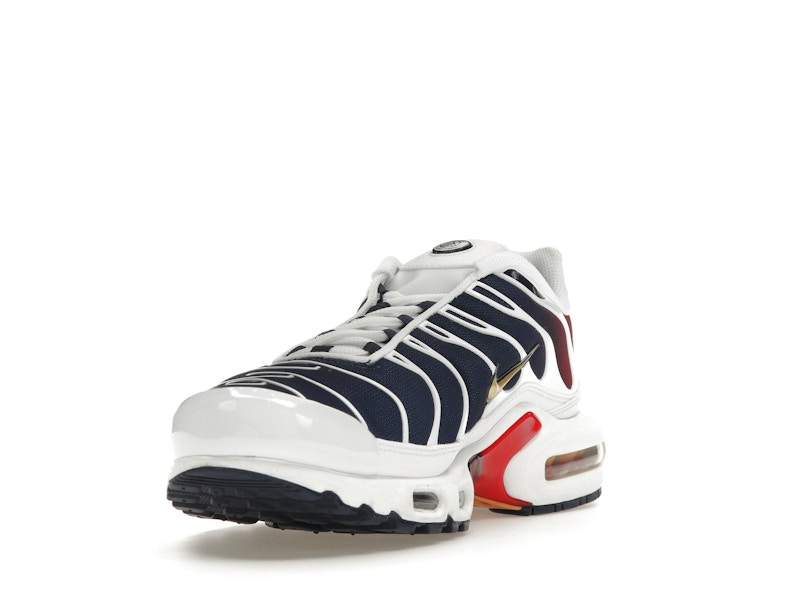 Nike Air Max Plus PSG