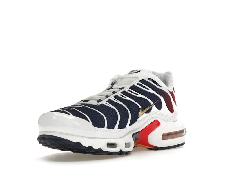 Nike Air Max Plus PSG