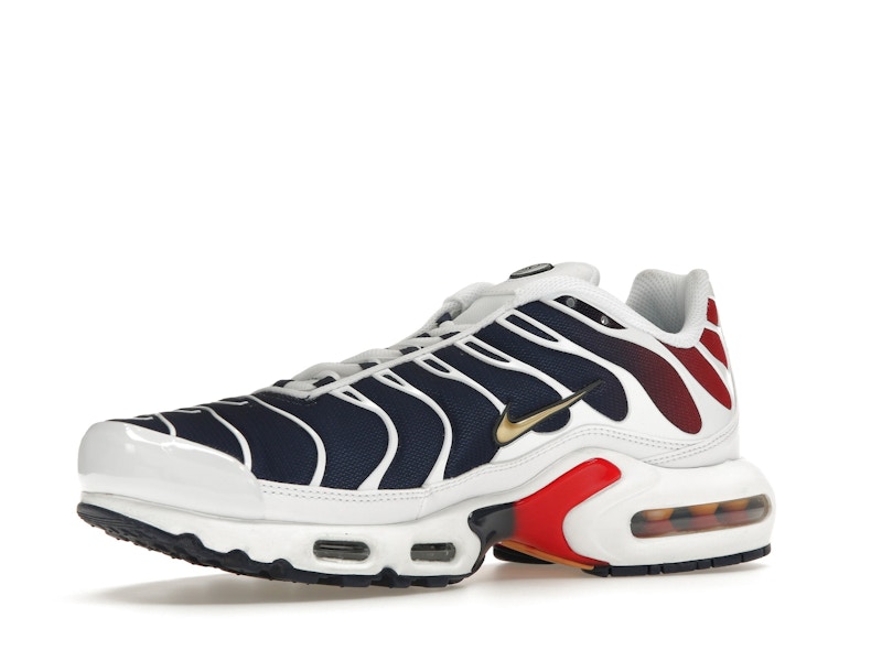 Nike Air Max Plus PSG