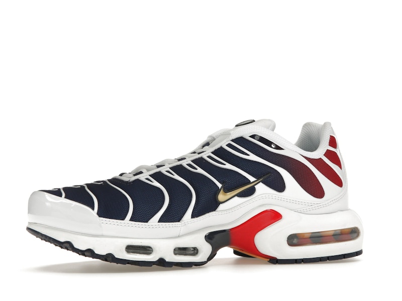 Nike Air Max Plus PSG