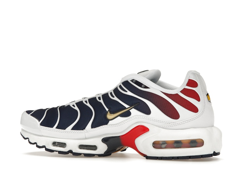 Nike Air Max Plus PSG