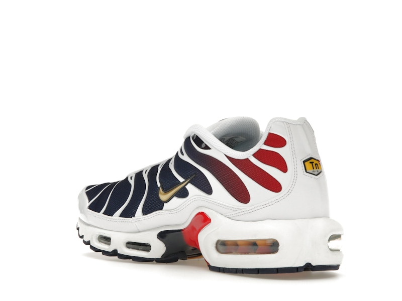 Nike Air Max Plus PSG