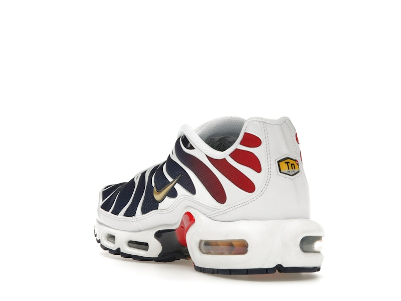 Nike Air Max Plus PSG