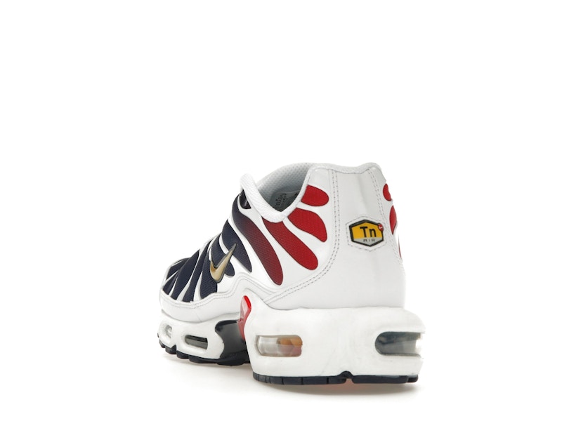 Nike Air Max Plus PSG