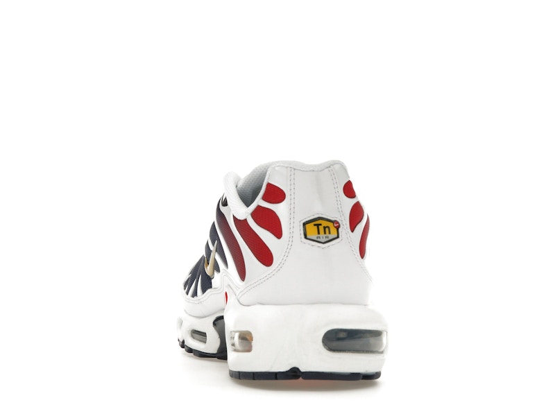 Nike Air Max Plus PSG