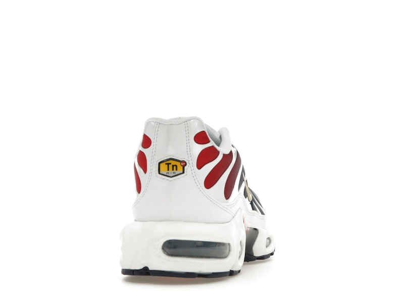 Nike Air Max Plus PSG