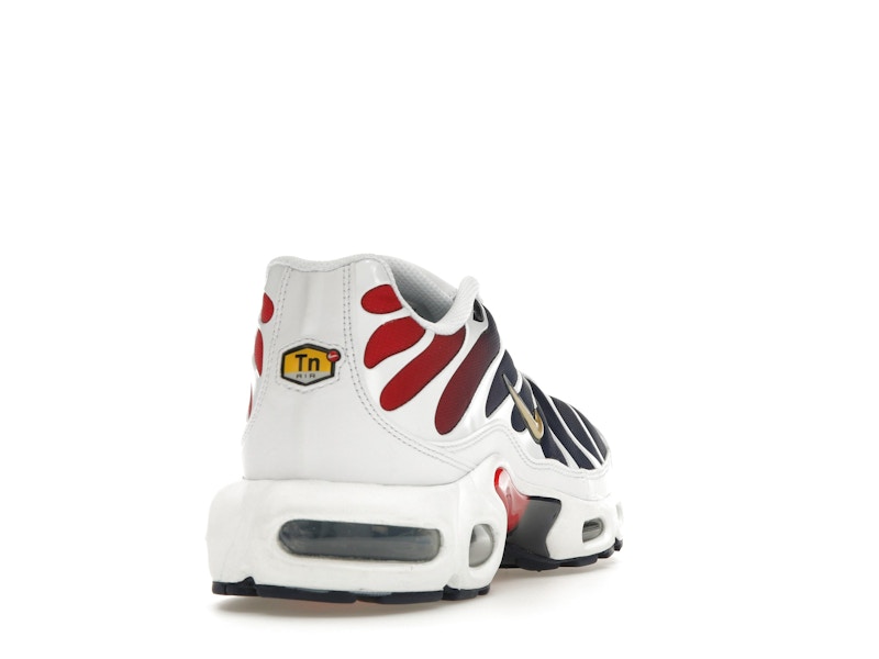 Nike Air Max Plus PSG