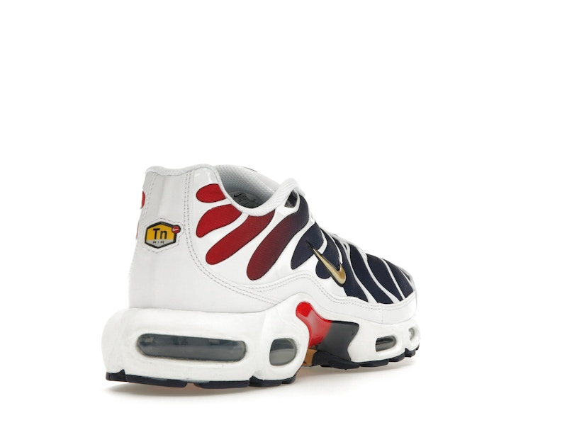 Nike Air Max Plus PSG