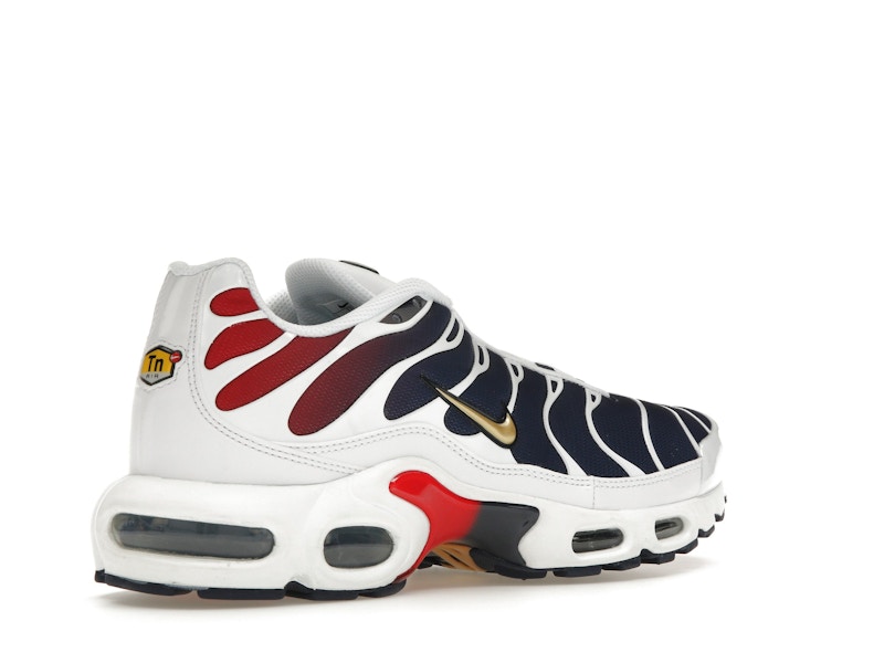 Nike Air Max Plus PSG