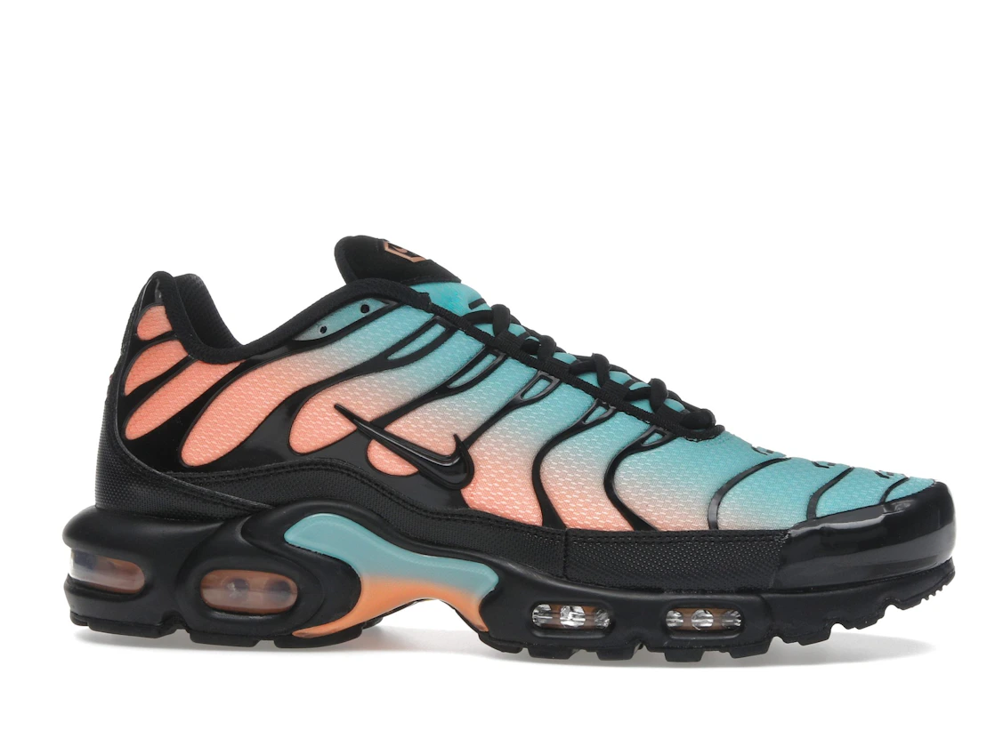 Nike Air Max Plus South Beach