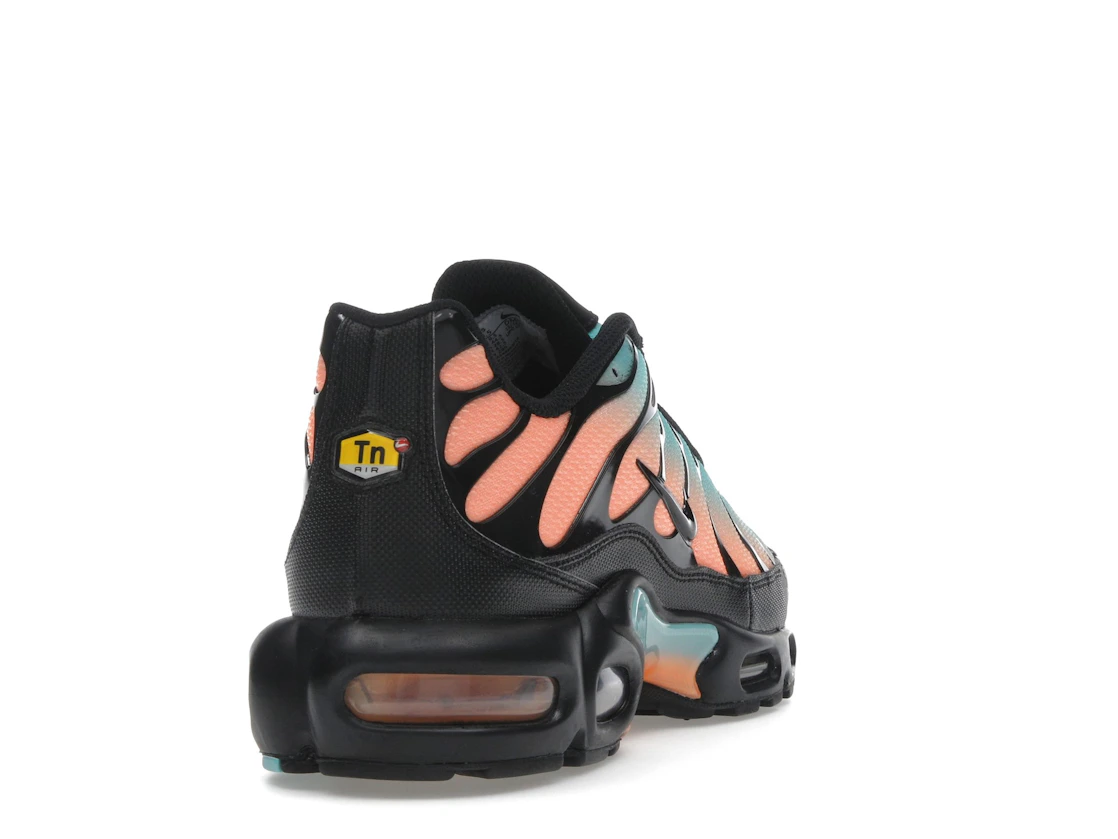 Nike Air Max Plus South Beach