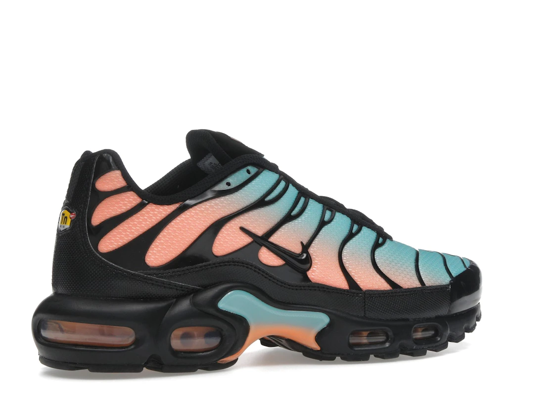 Nike Air Max Plus South Beach